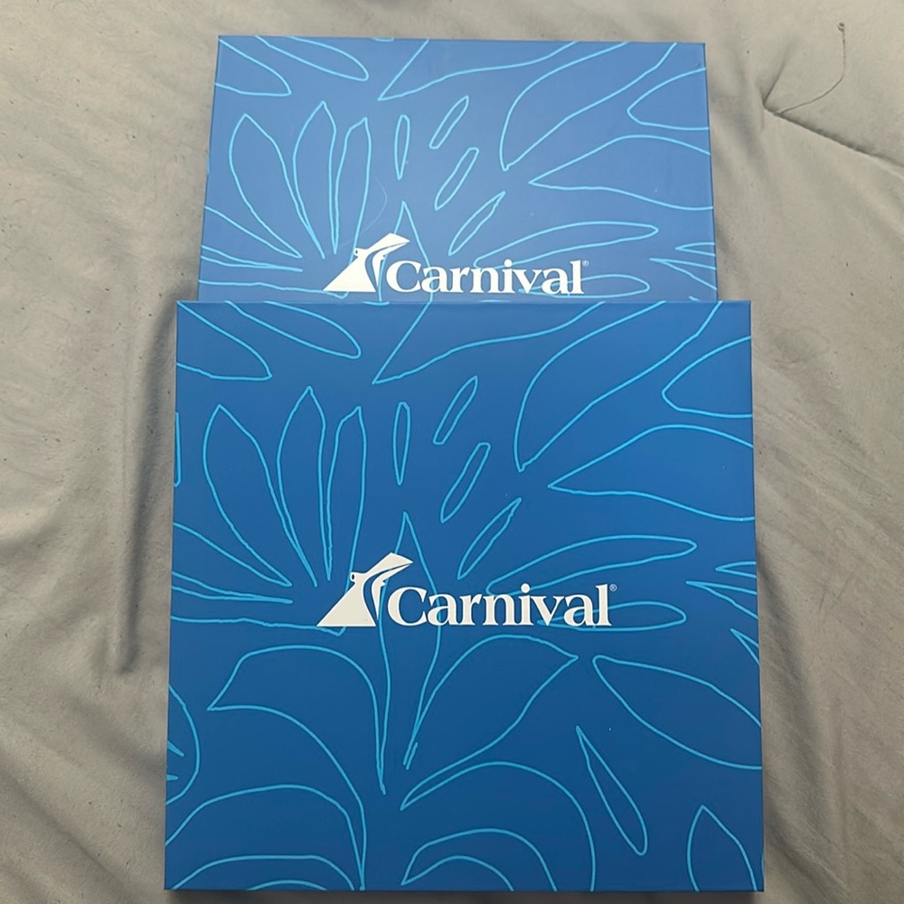 Carnival travel set
